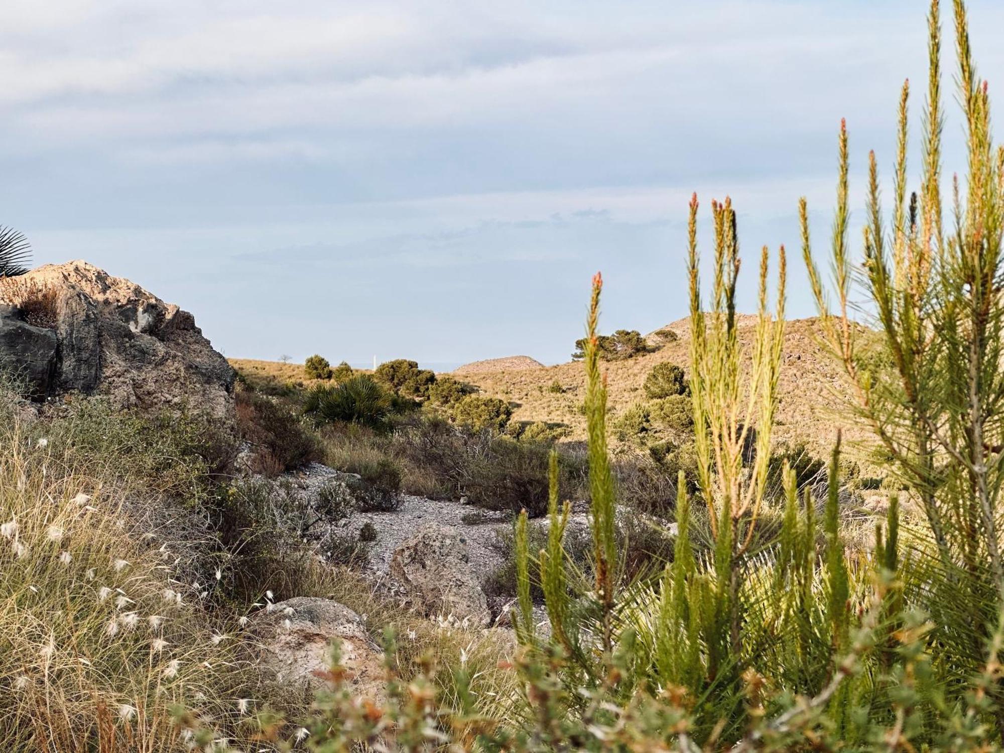 Finca Ocha - Calblanque Los Belones Buitenkant foto