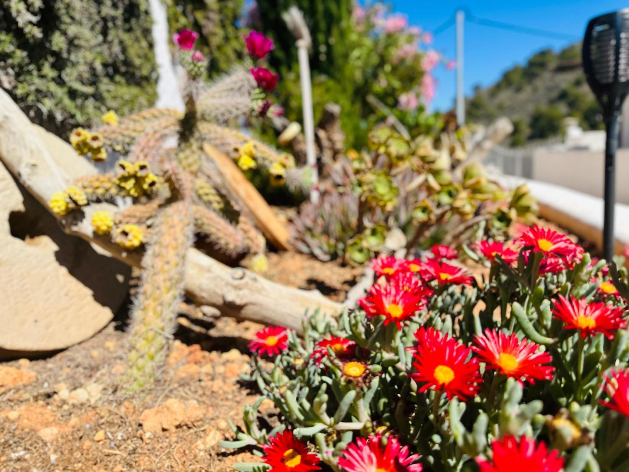 Finca Ocha - Calblanque Los Belones Buitenkant foto