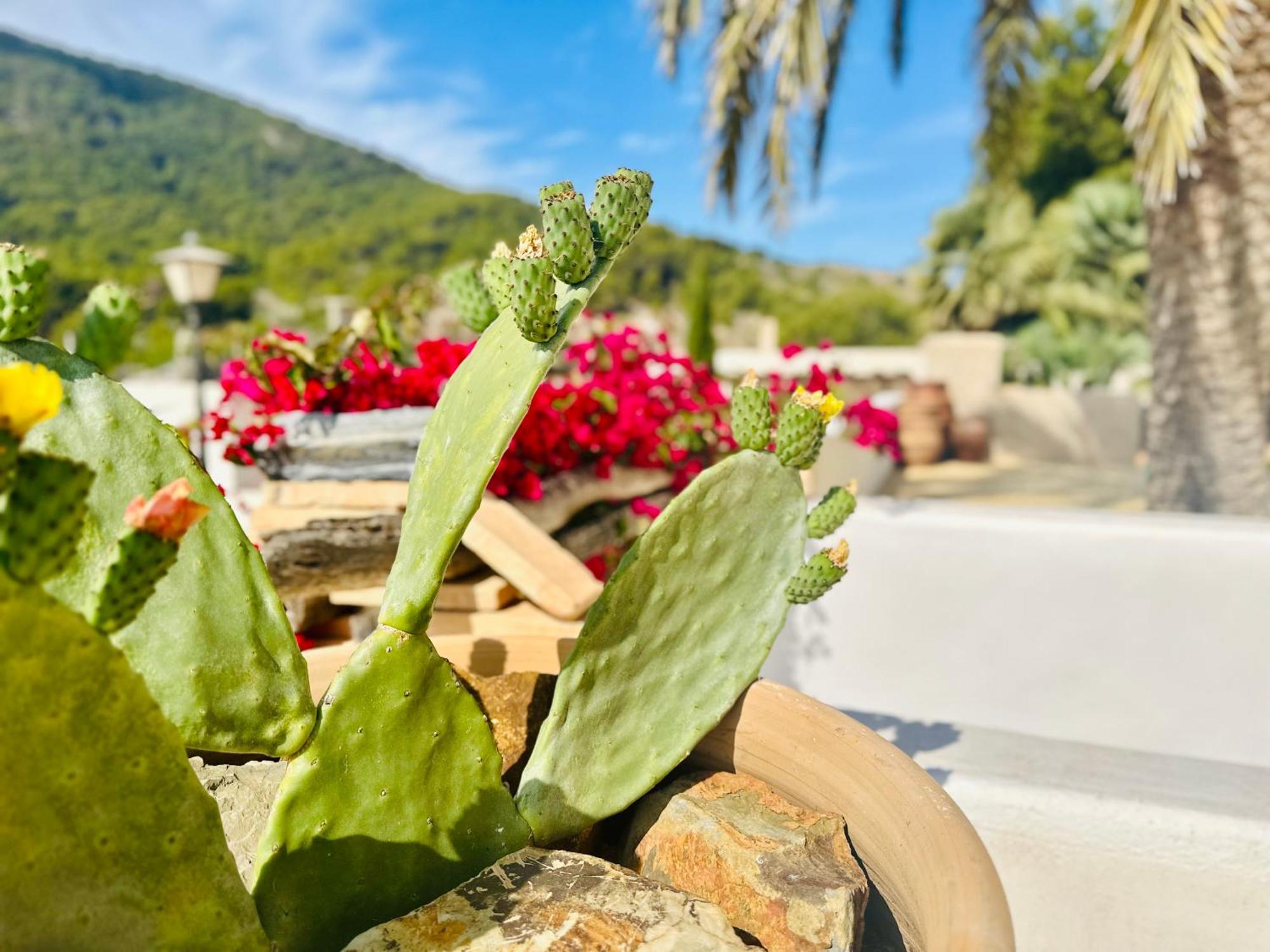 Finca Ocha - Calblanque Los Belones Buitenkant foto