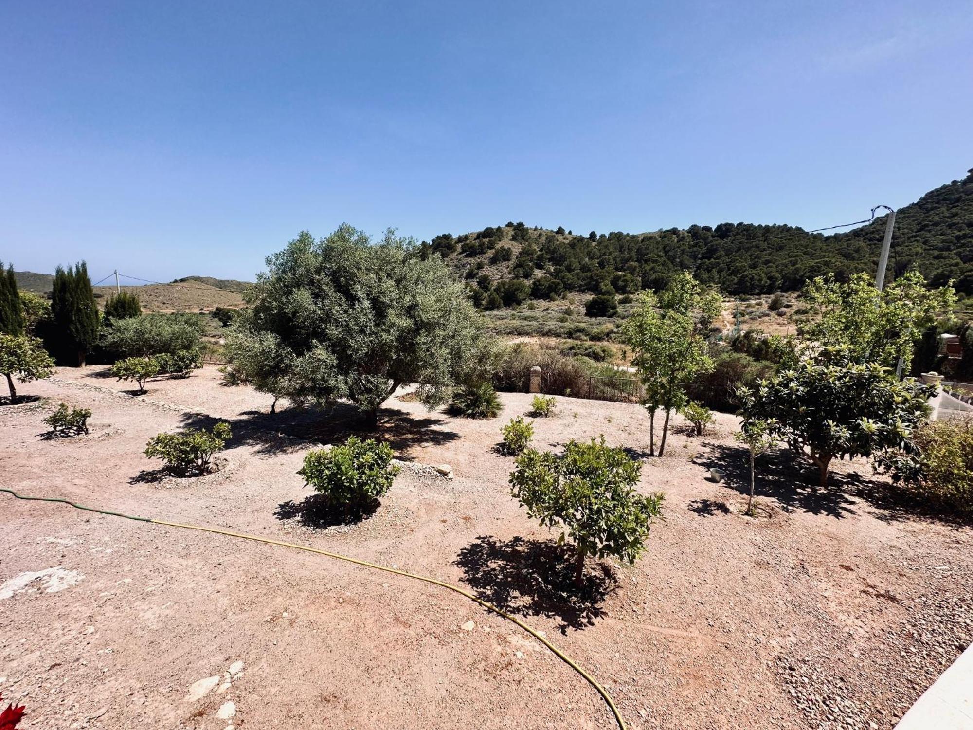 Finca Ocha - Calblanque Los Belones Buitenkant foto