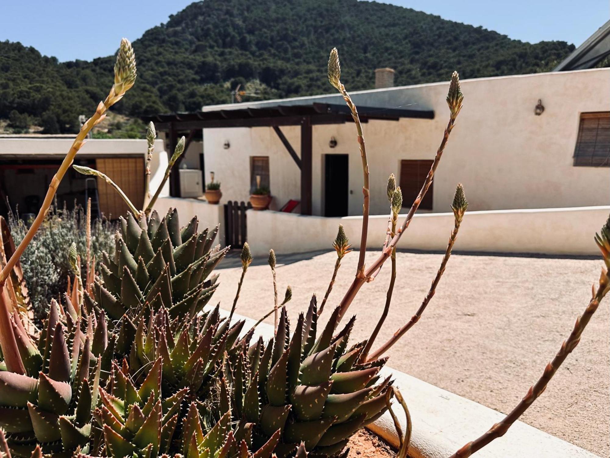 Finca Ocha - Calblanque Los Belones Buitenkant foto
